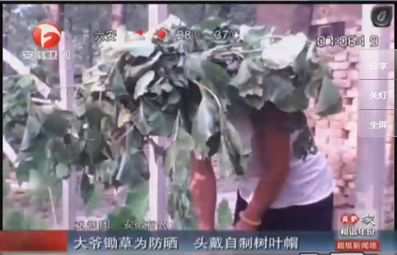 農(nóng)民防曬有絕招，就地取材，頭戴樹葉自制帽子